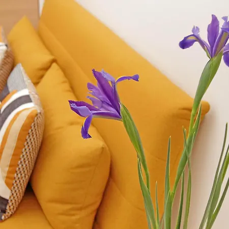 & Apartamento Roma